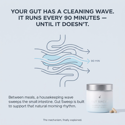 GUT SWEEP - AM MOTILITY COMPLEX