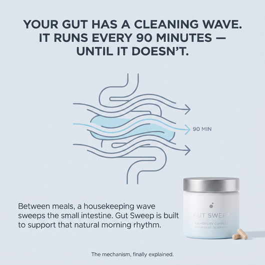 GUT SWEEP - AM MOTILITY COMPLEX