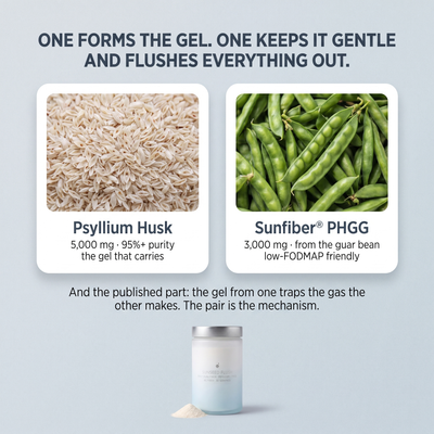 GUT SWEEP - AM MOTILITY COMPLEX